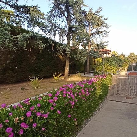 Villa Mary - Apartments トラーニ エクステリア 写真