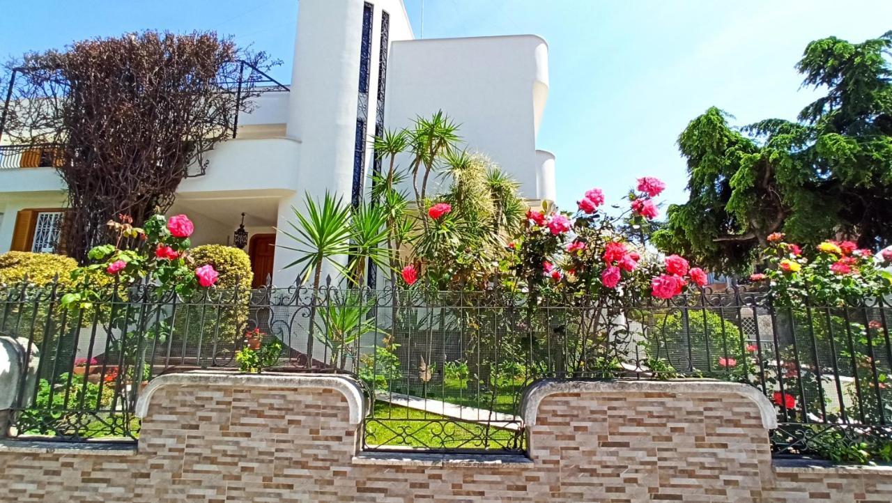 Villa Mary - Apartments トラーニ エクステリア 写真
